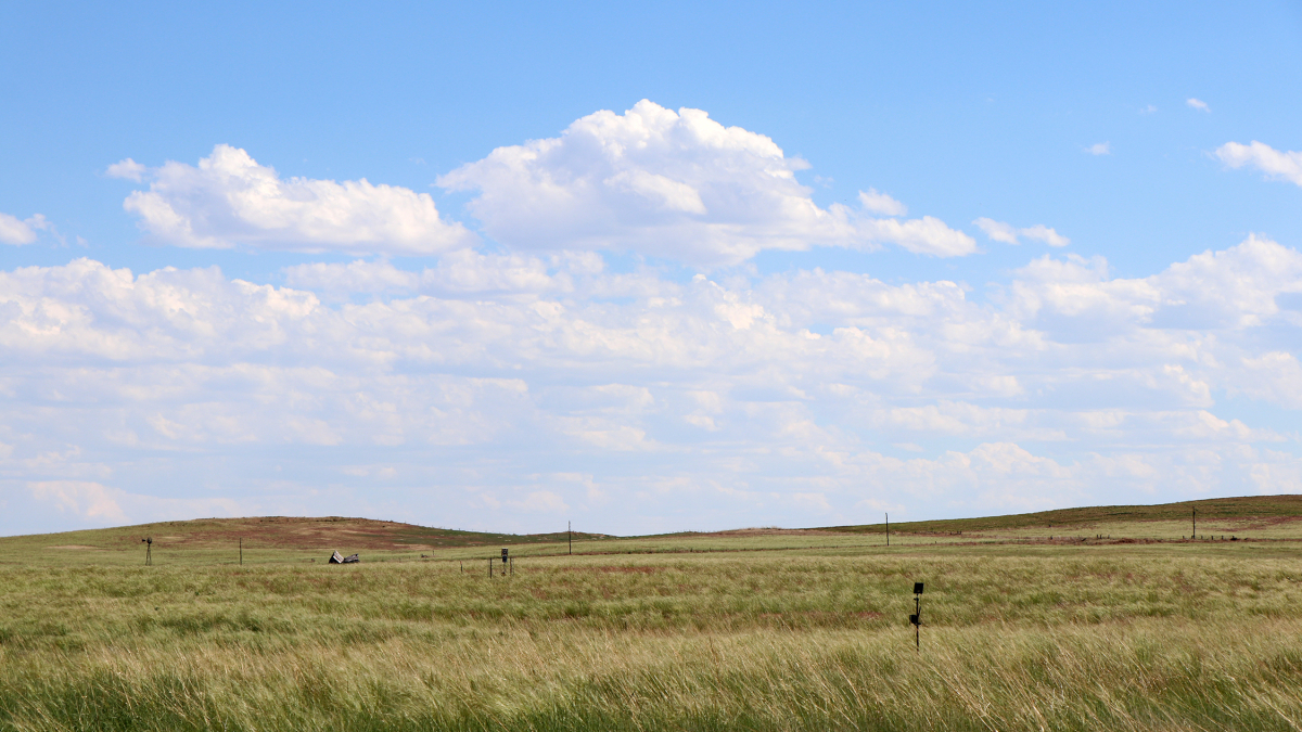 Nebraska Extension offering workshop on tax planning for farms and ranches