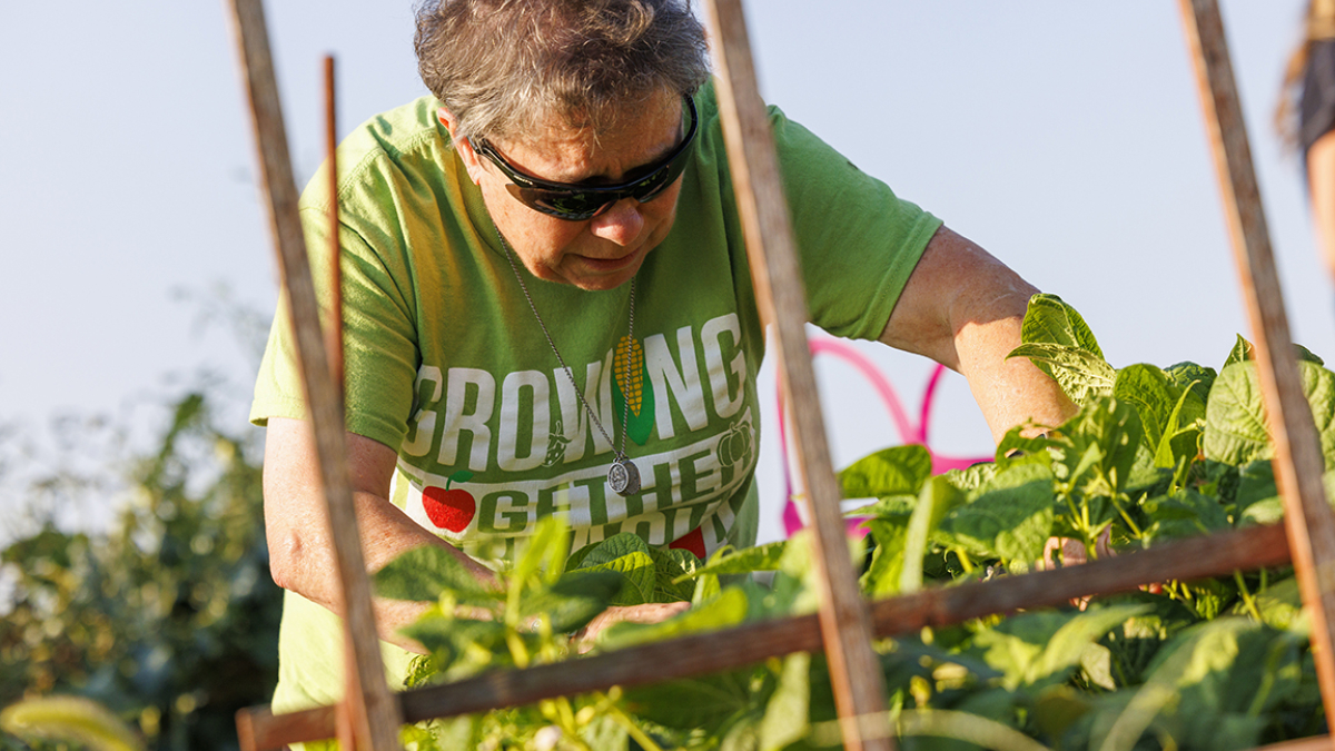 Extension program connects Nebraskans with fresh produce