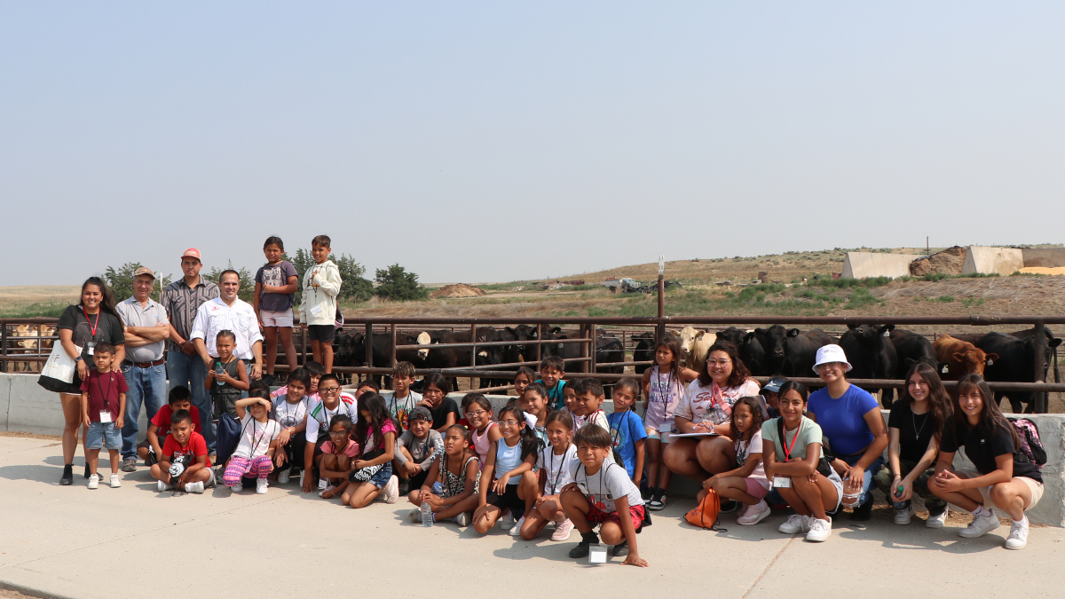 Summer camp brings cattle, history, and STEM to campers 