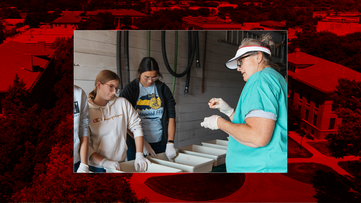 Nebraska Extension’s Sandhills Beef Educator has dream position in Nebraska Sandhills