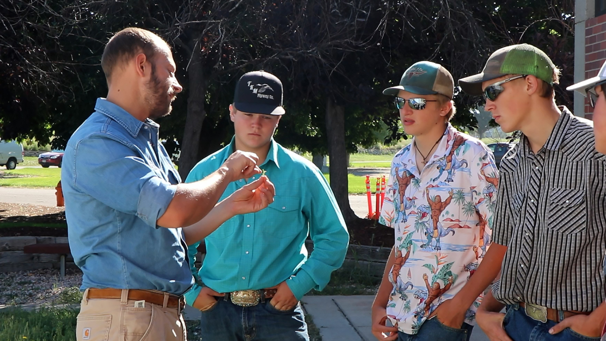 FFA students gather information on the Ag industry and careers at field day