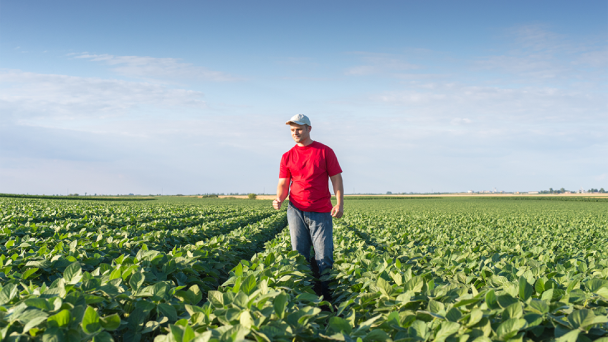 Grow Organic: Nebraska Extension Hosts Second Annual Organic Farming Conference