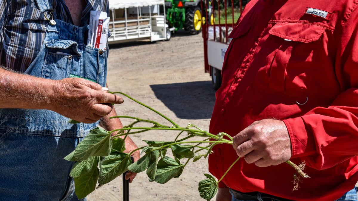 Recap: Haskell Ag Lab Family Field Day