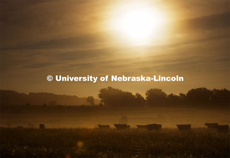 University of Nebraska