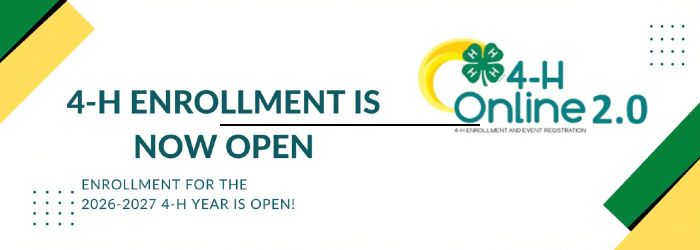 4H online logo