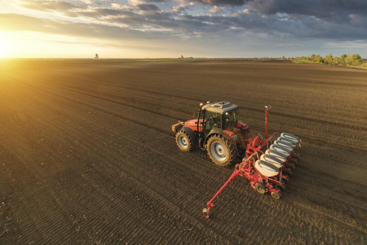 Tractor working the field