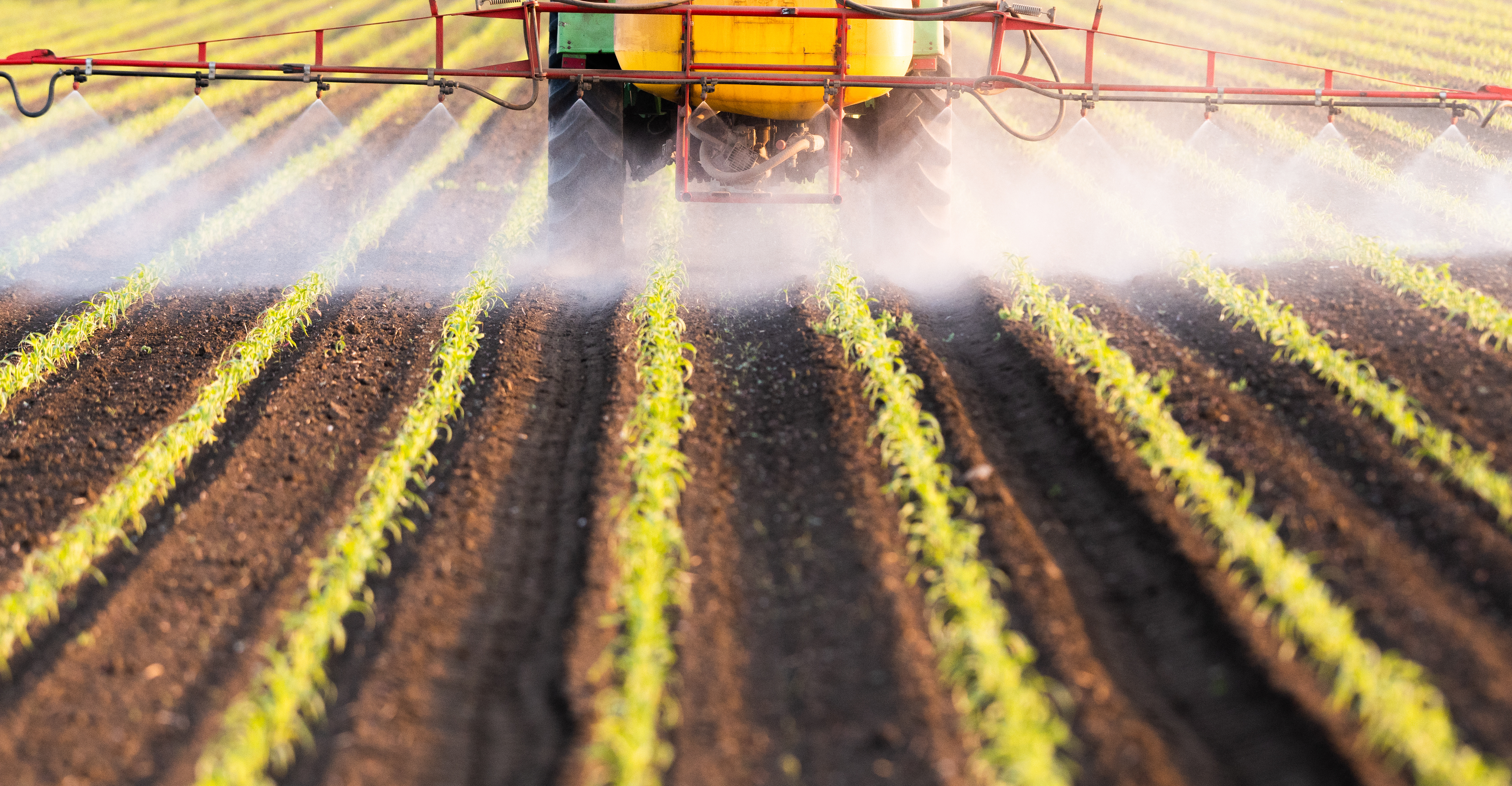 A field with young crops being sprayed with pesticides