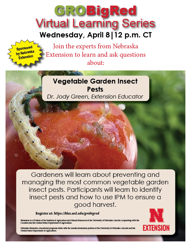 GroBigRed Virtual Learning Series. Wednesday, April 8th at 12 PM Central Time. Vegetable Garden Insect Pests by Dr. Jody Green, Extension Educator.  Gardeners will learn about preventing and managing the most common vegetable garden insect pests.  Learn to identify insect pests and how to use IPM to ensure a good Harvest.
