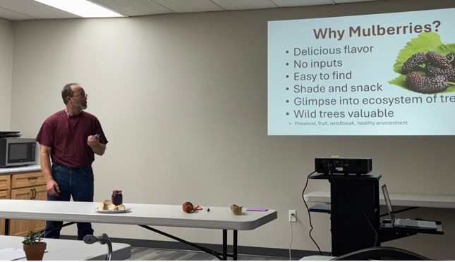 Man in Red Shirt giving Presentation on Mulberries