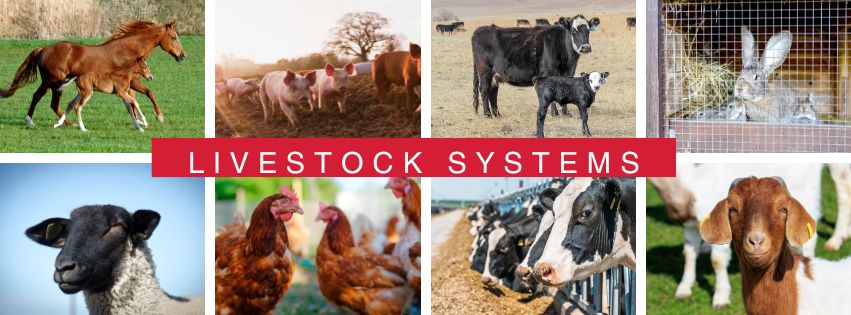 Livestock Systems