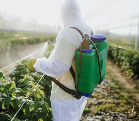 Pesticide Spraying image