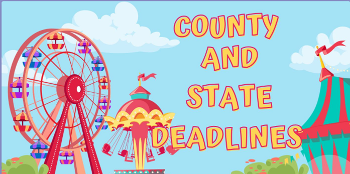 Ferris wheel, carousel, and tent in a colorful fairground setting under a bright blue sky.