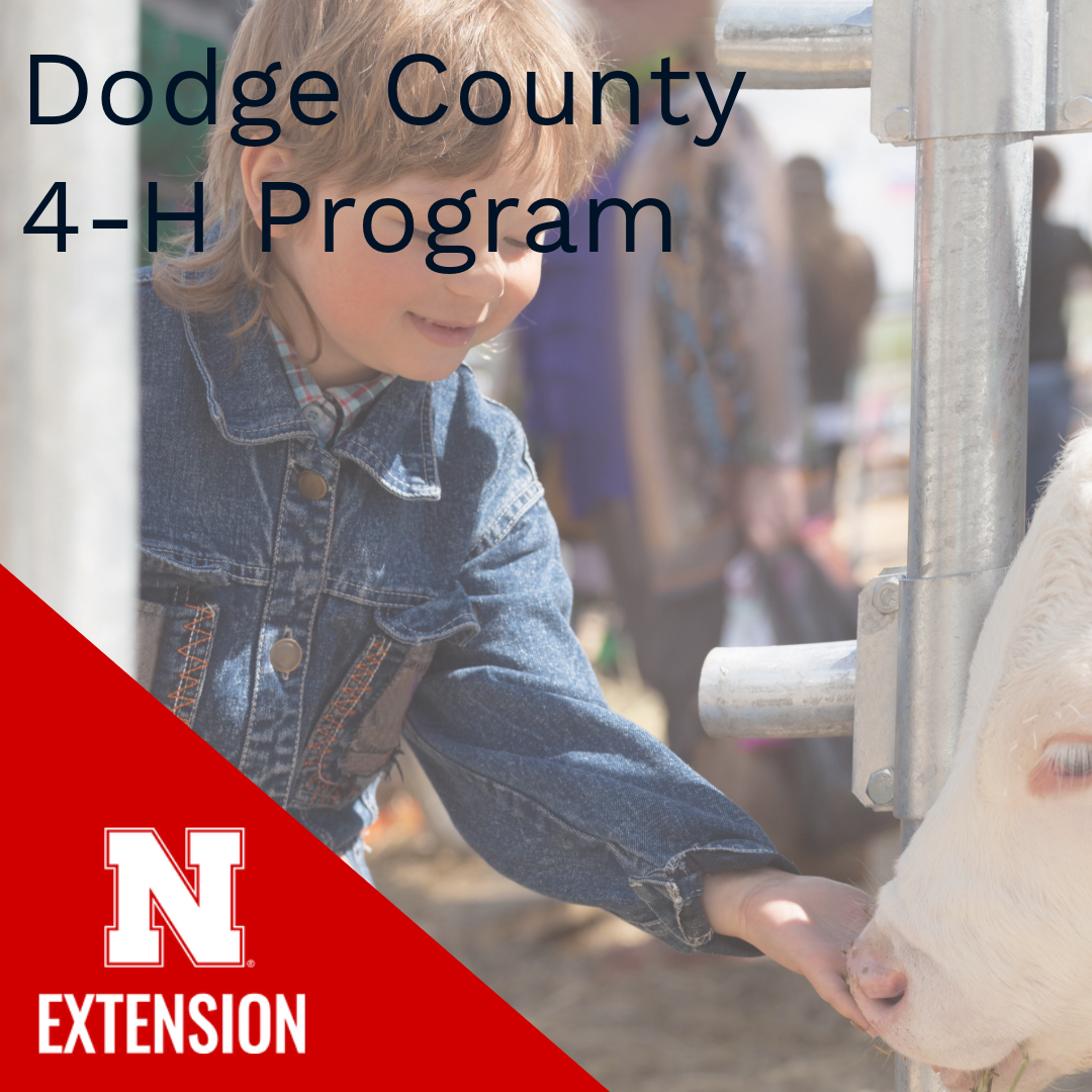 Dodge County 4H Program Image