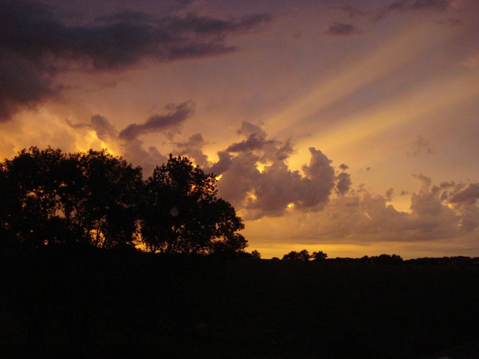 tree, sky with clouds