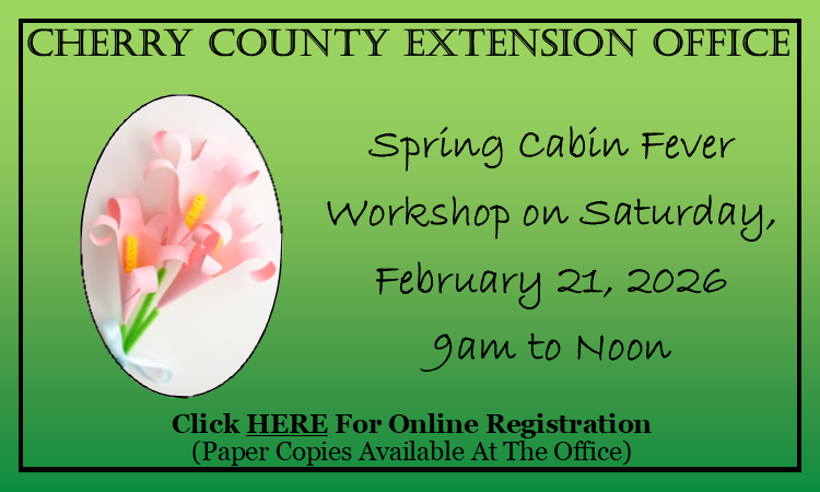 Spring Cabin Fever