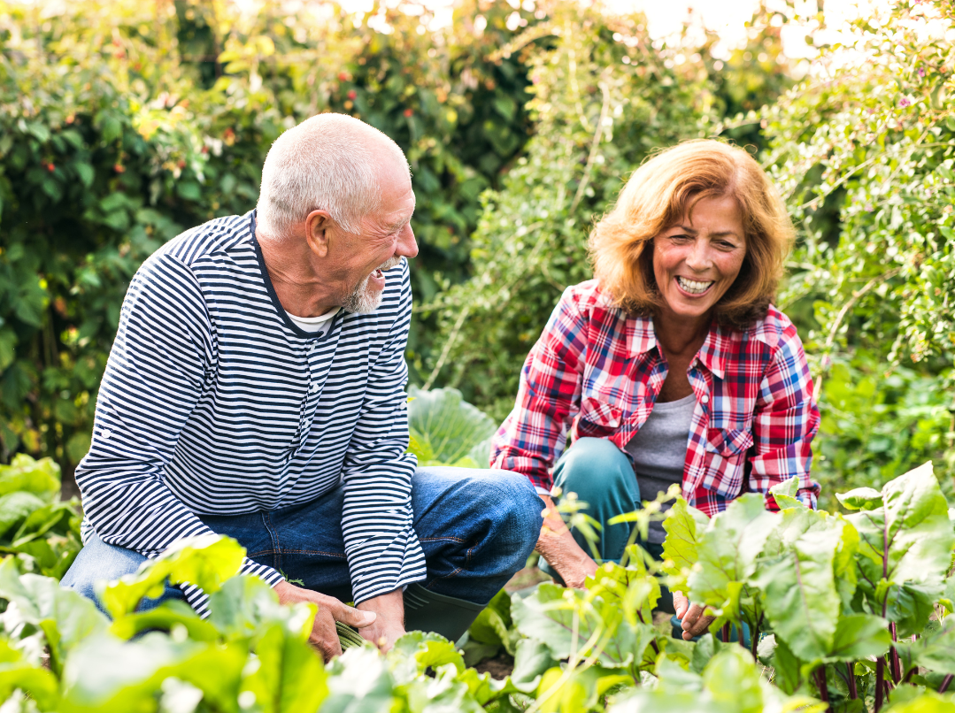 Man and woman working in the garden