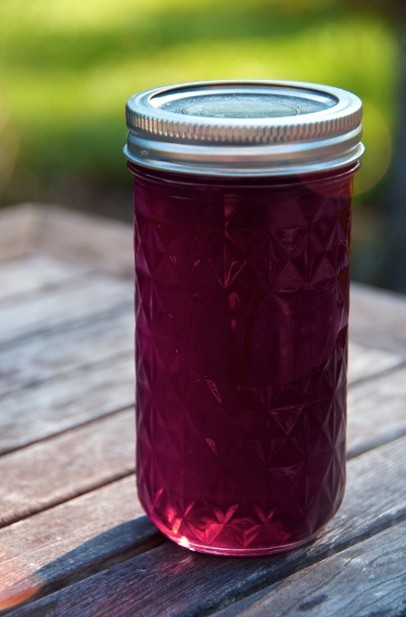 Glass jar with purple liquid, sealed with a metal lid, on a wooden table outdoors.