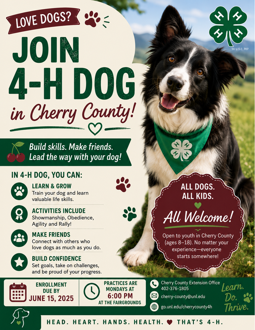 Border collie wearing a green bandana with 4-H logo, surrounded by text promoting a 4-H dog program.
