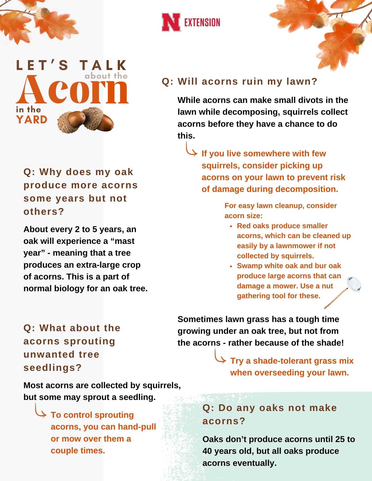 Tips on Lessening Acorn Damage to Lawns