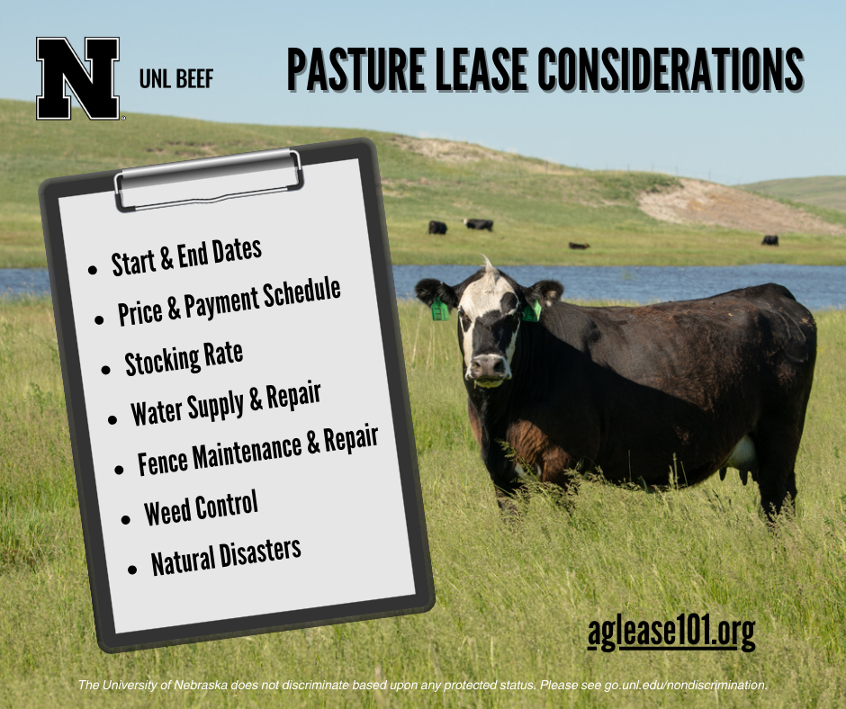 A cow standing in a grassy field with a clipboard listing pasture lease considerations.