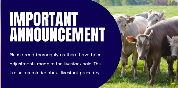 Important announcement text next to grazing cows in a sunny field.