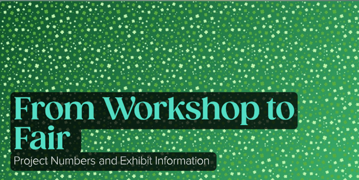 From Workshop to Fair text on a green, dotted background.