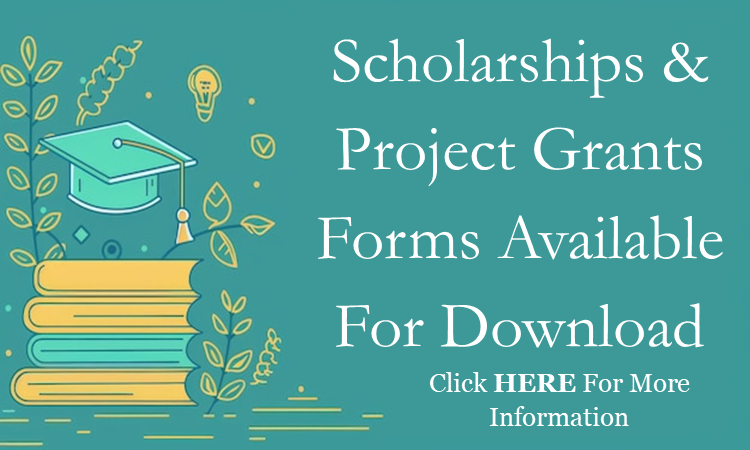 Scholarship & Grant Link