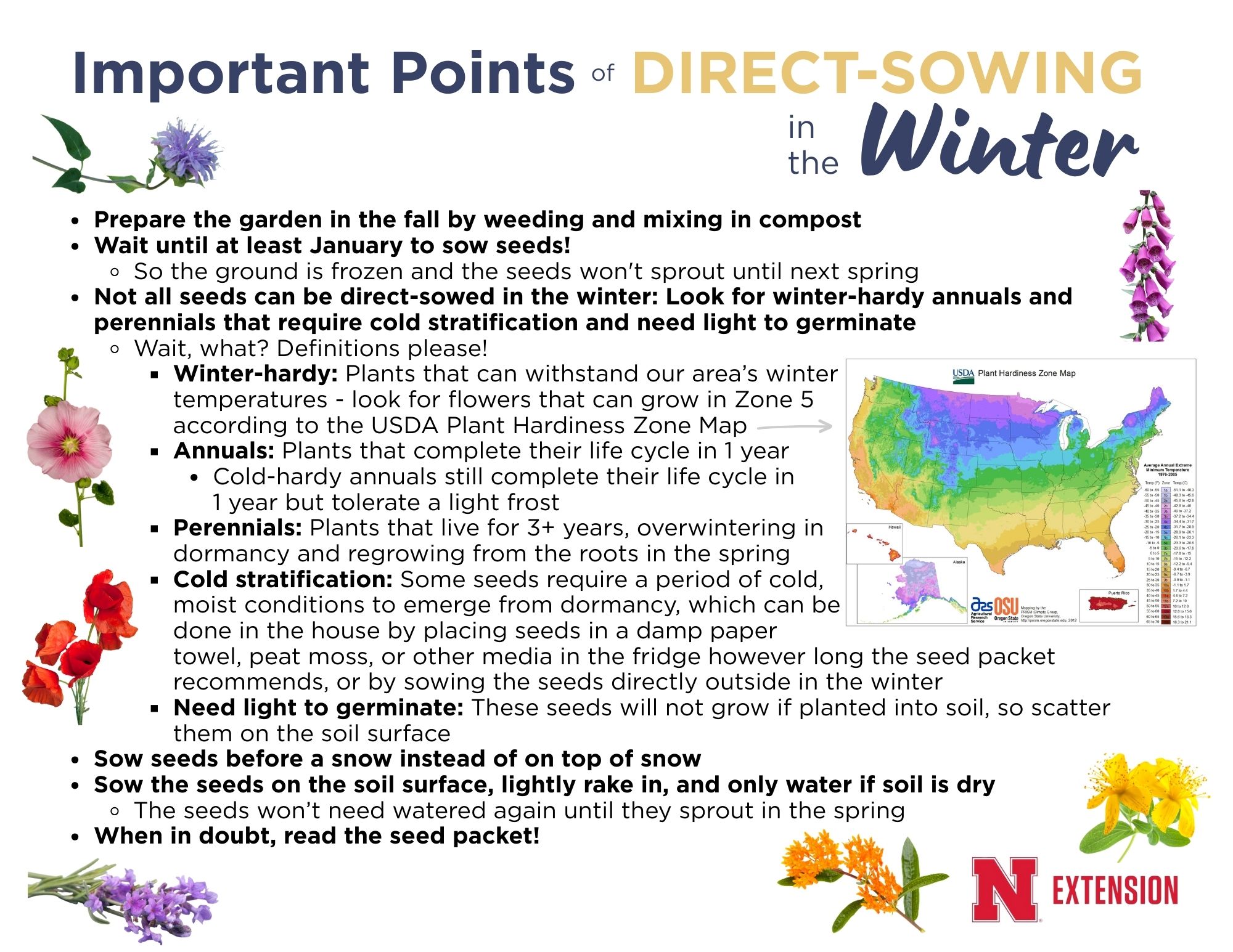 Tips on Winter Sown Flowers How-To