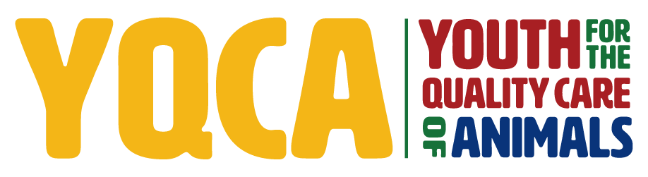 YQCA-logo-Horizontal 