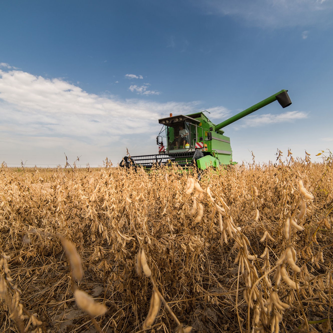 gstone corn harvest 10-24