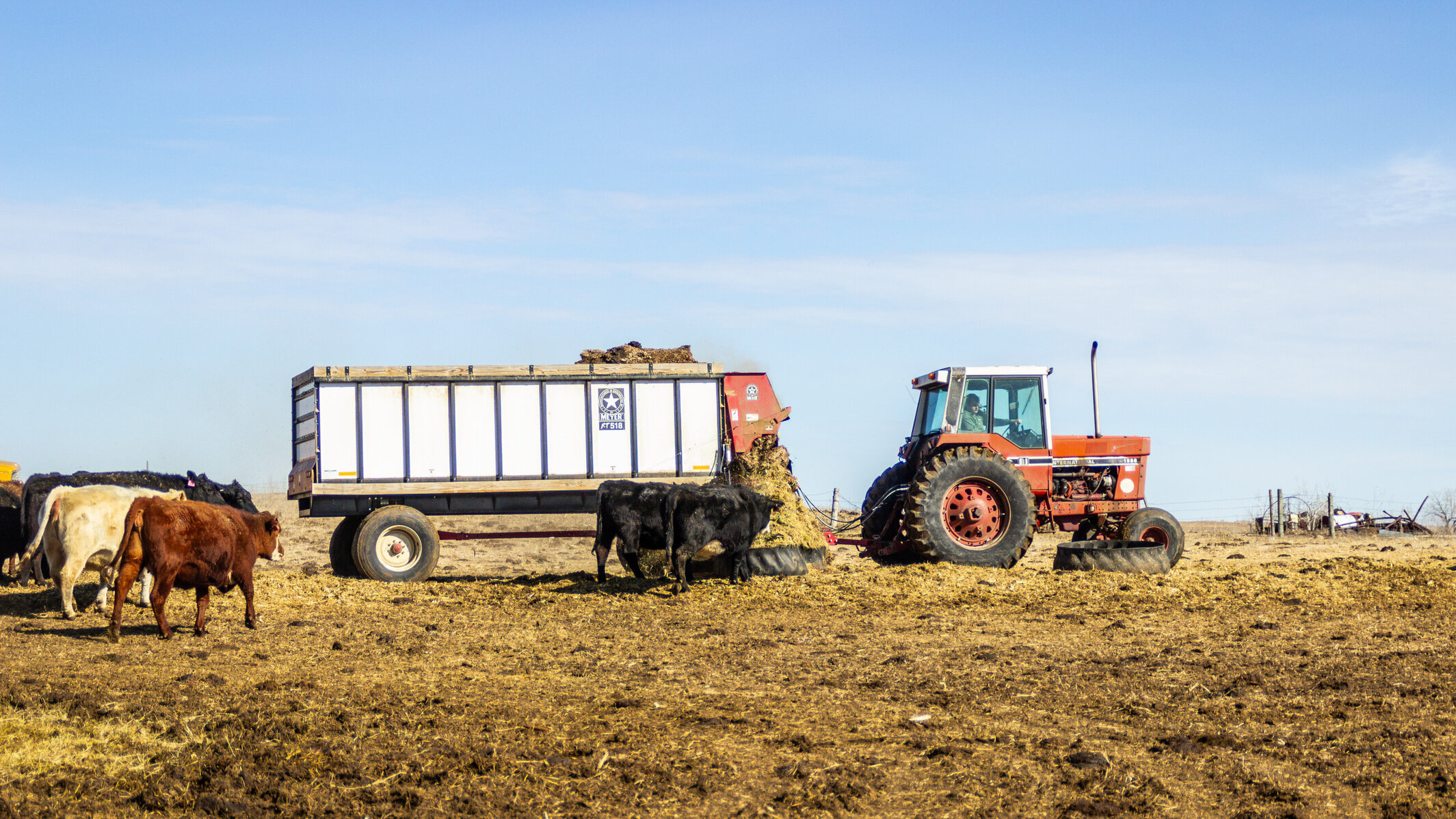 Farming pic