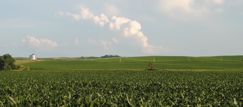 farmland