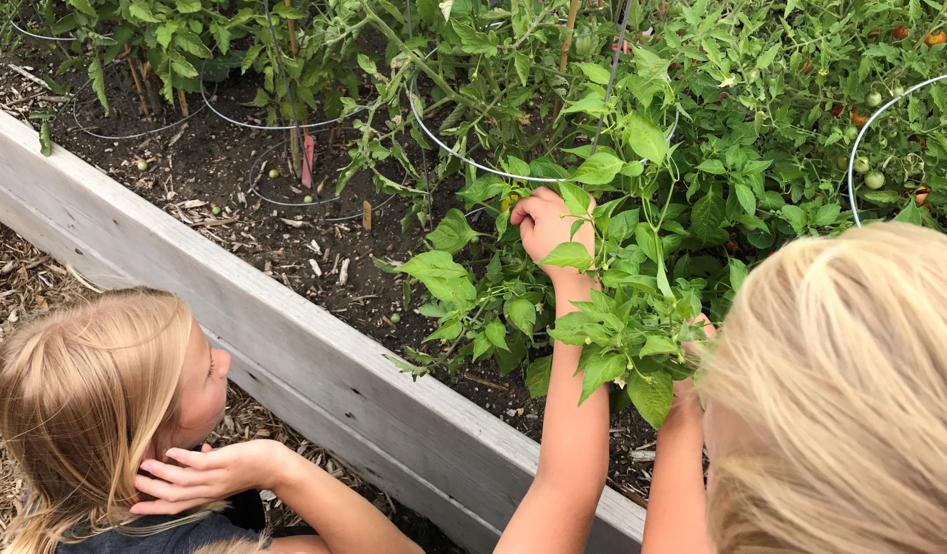 Children Gardening