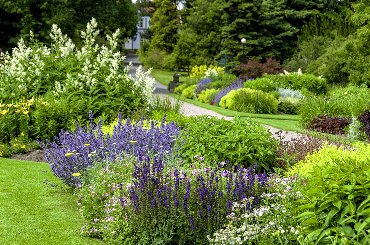 Colorful garden with vibrant flowers, lush greenery, and a winding pathway surrounded by trees.
