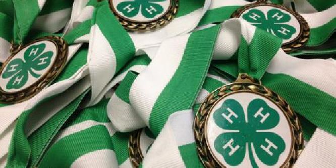 Medals with a 4-H Clover on a ribbon