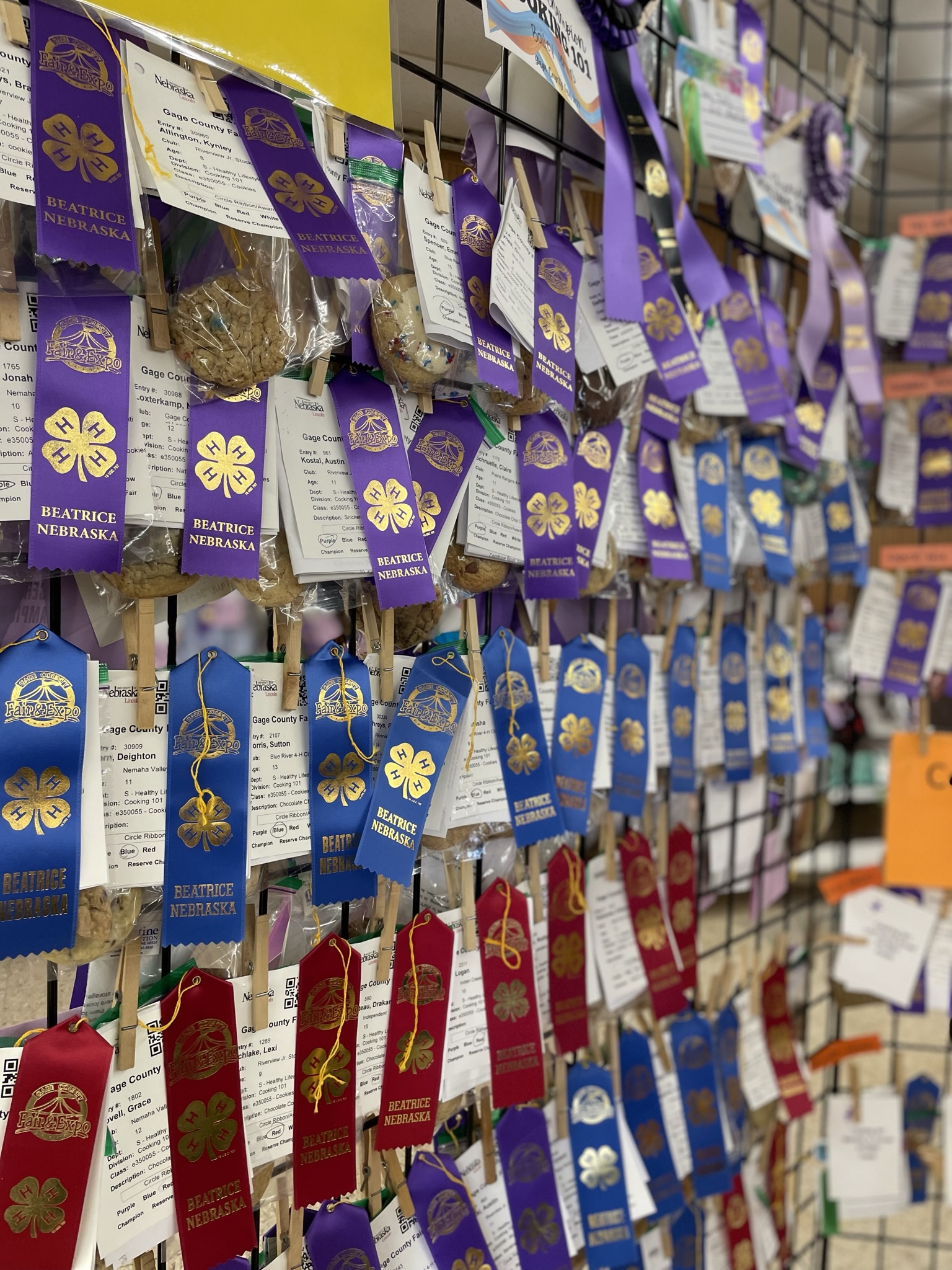 Colorful ribbons and awards displayed on a metal grid, primarily purple, blue, and red.