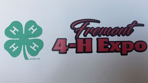 4-H Expo