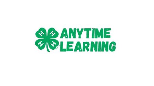 Anytime 