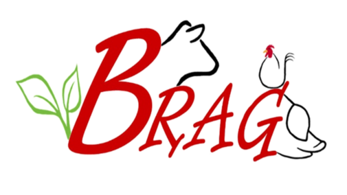 BRAG in red with outline of Cow Head, Chicken and Pig