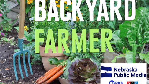 Backyard Farmer