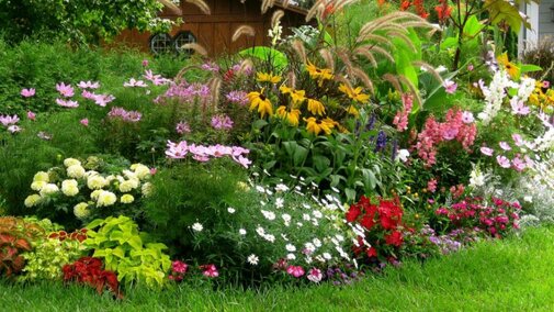Horticulture, Landscape, and Environment Photo
