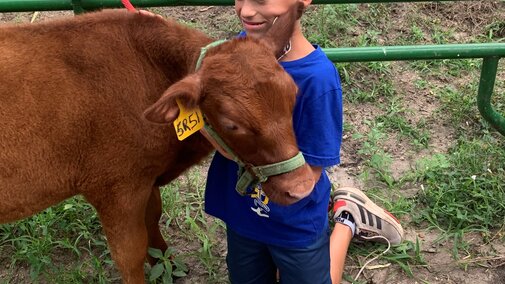 Knox County Bucket Calf