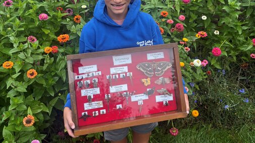 Knox County Entomology