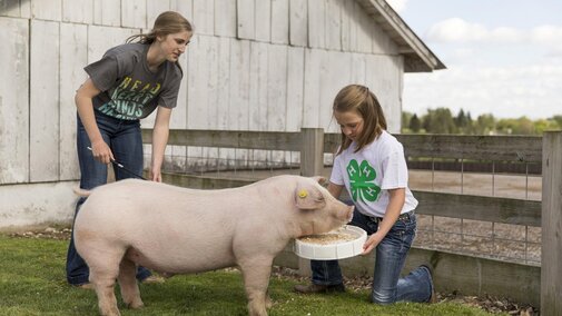 Kid with Pig