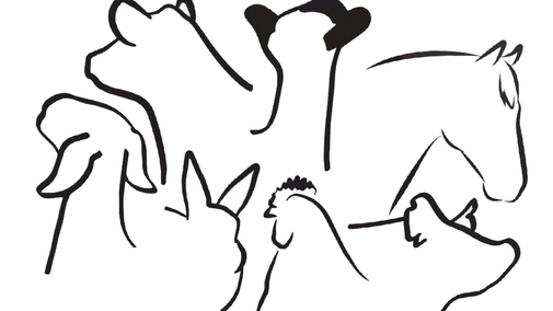 Line art of various animal heads