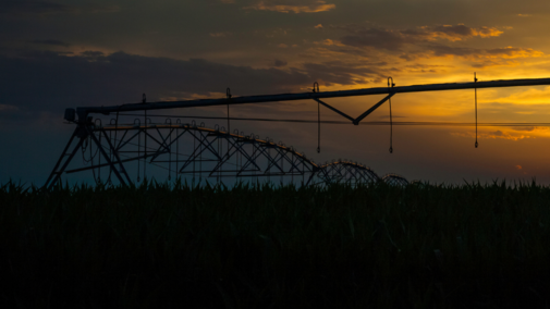 Holt County Crops and Water2