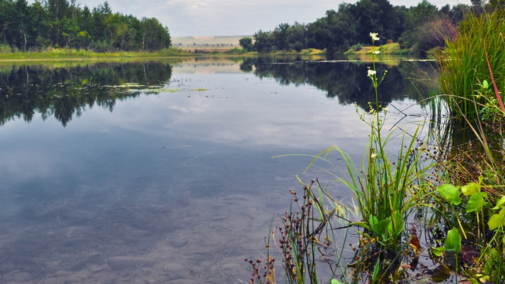 river ground water