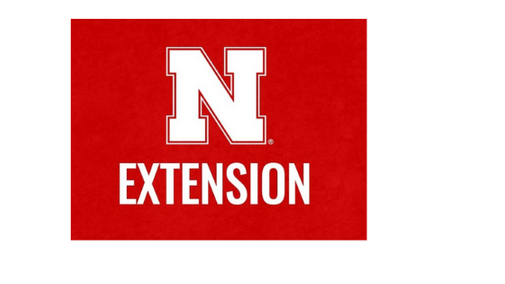 White "N" and "EXTENSION" text on a red background.