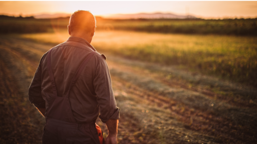 Farmer watching the sun go down on his field.