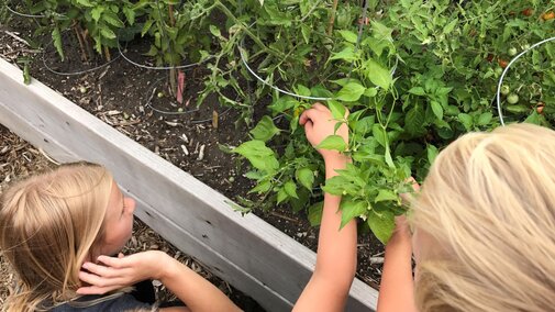 Children Gardening